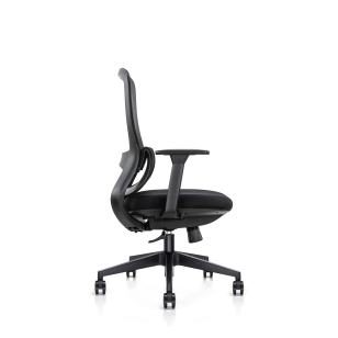 旋轉經理辦公椅AS-6245B